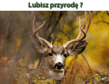 Wypoczynek z naturą Banner Ad screenshot
