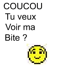 Coucou, tu veux voir ma bite ? v3
