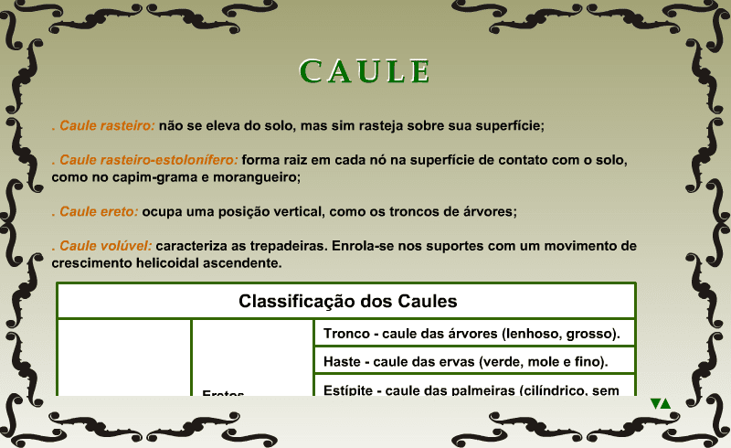 Caule screenshot