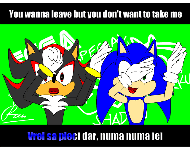 Sonic Numa-Numa Dance screenshot