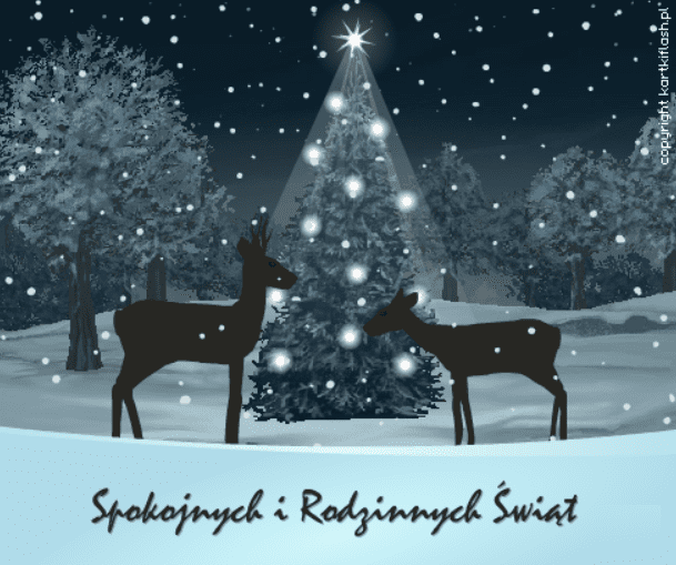 Spokojnych i Rodzinnych Świąt