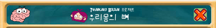 우리 몸 의 뼈