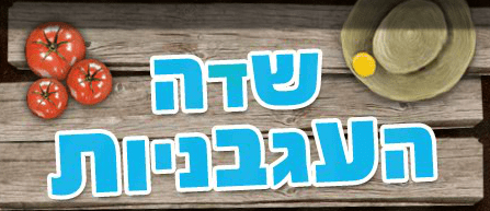 שדה העגבניות - קטשופ אסם