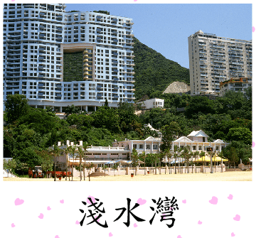 拼圖遊戲(淺水灣)