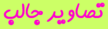 تصاویر جالب
