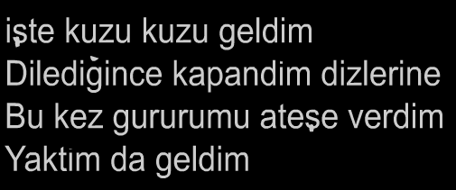 Tarkan Şiir (İngilizce)