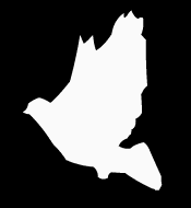 DOT 2 HATO