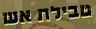 טבילת אש