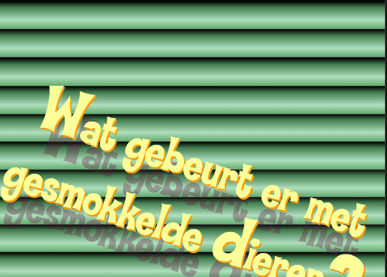 Wat gebeurt er met gesmokkelde dieren?