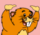 Jogo do Castor