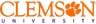 Clemson University: Images of the Laboratory of Nanomedicine