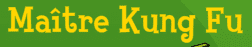Maître Kung Fu