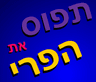 תפוס את הפרי