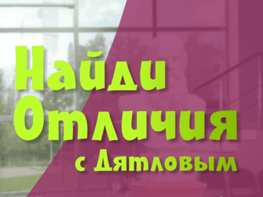 Найди Отличия с Дятловым