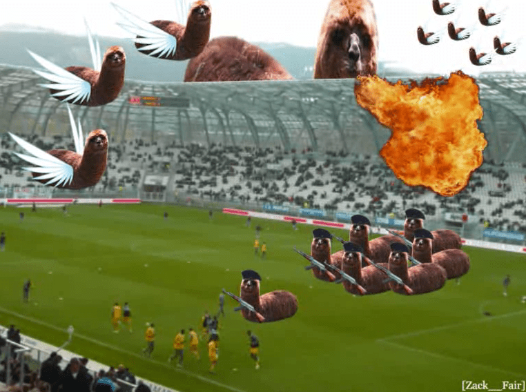 Les Lamasticots envahissent le stade de Nantes screenshot