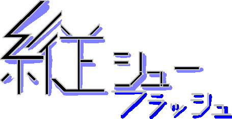 縦シューフラッシュ