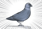 7時をおしらせする鳩 screenshot