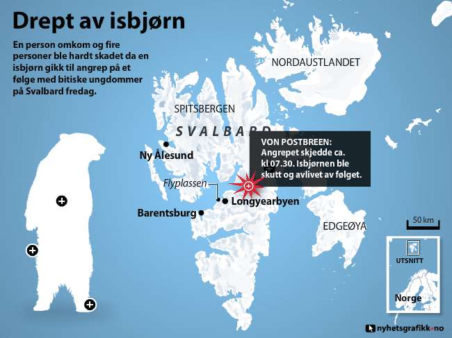 Drept av isbjørn screenshot