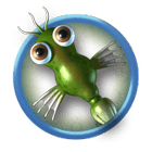 What is Spore?