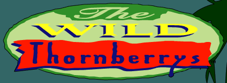 The Wild Thornberrys: Jungle Screensaver