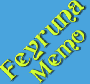 Feyruna Memo