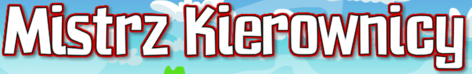Mistrz kierownicy