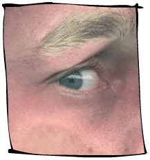 Eye