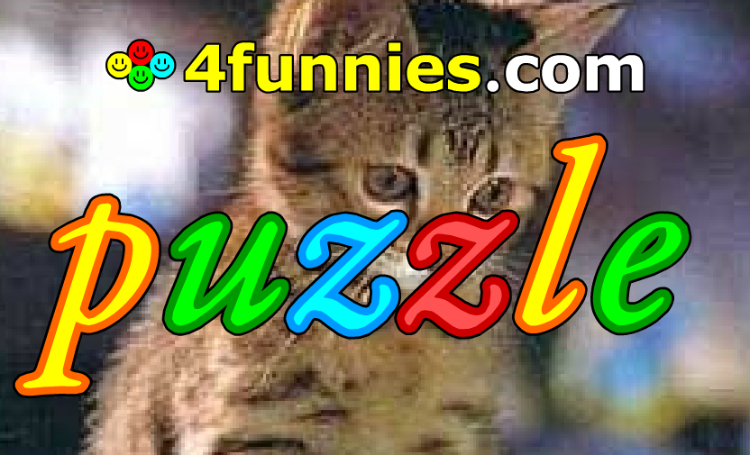 Puzzle (4funnies)