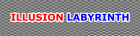 Illusion Labyrinth