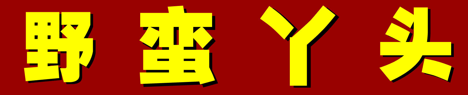 《野蛮丫头》第九集
