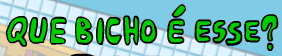 Que bicho e esse?