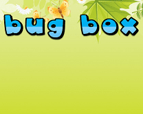 Bug Box