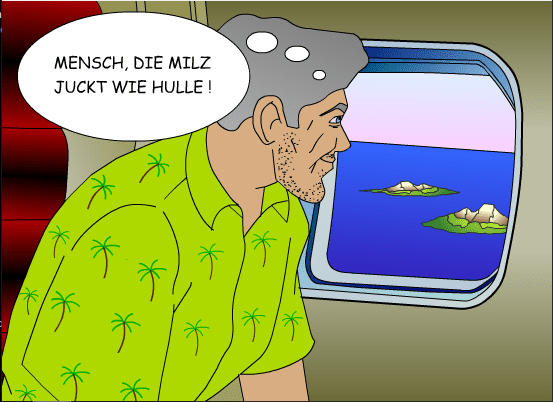 Milzflug 245 screenshot