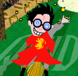 Harry Potter Quidditch