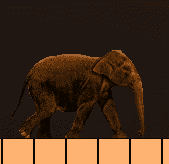 Elephant Story