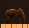Elephant Story