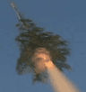 Tree Rocket