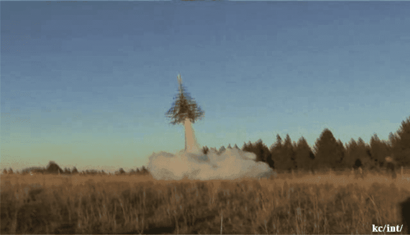 Tree Rocket screenshot