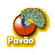 Para Pintar (Pavão)